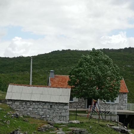 Villa Oaza Mira à Nikšić Extérieur photo