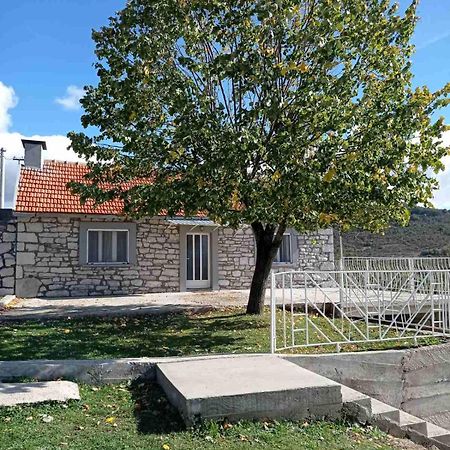 Villa Oaza Mira à Nikšić Extérieur photo